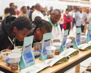 Participants evaluating East African coffees at the cupping table